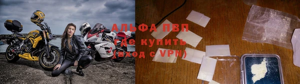стаф Вязники
