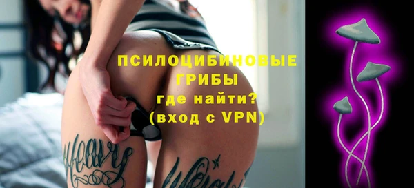 a pvp Вяземский