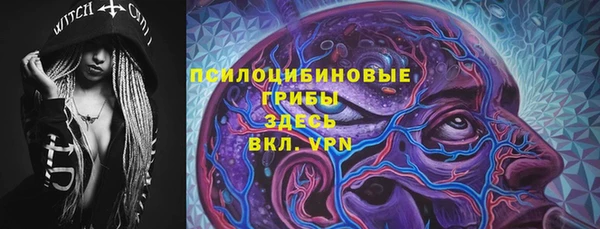 a pvp Вяземский