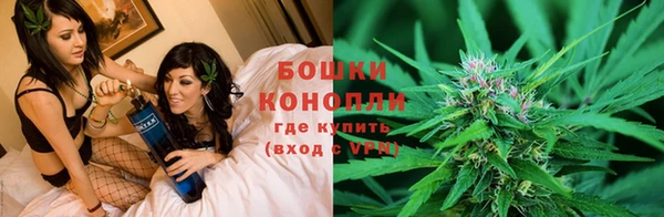 стаф Вязники