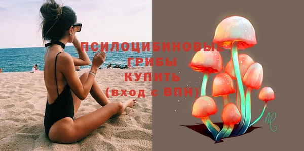 стаф Вязники