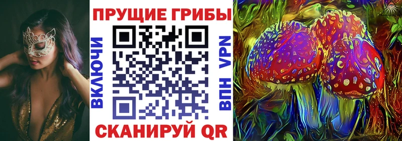 закладки  Кемерово  Галлюциногенные грибы GOLDEN TEACHER 